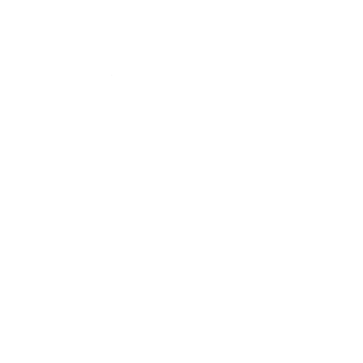 Soma Assist icon